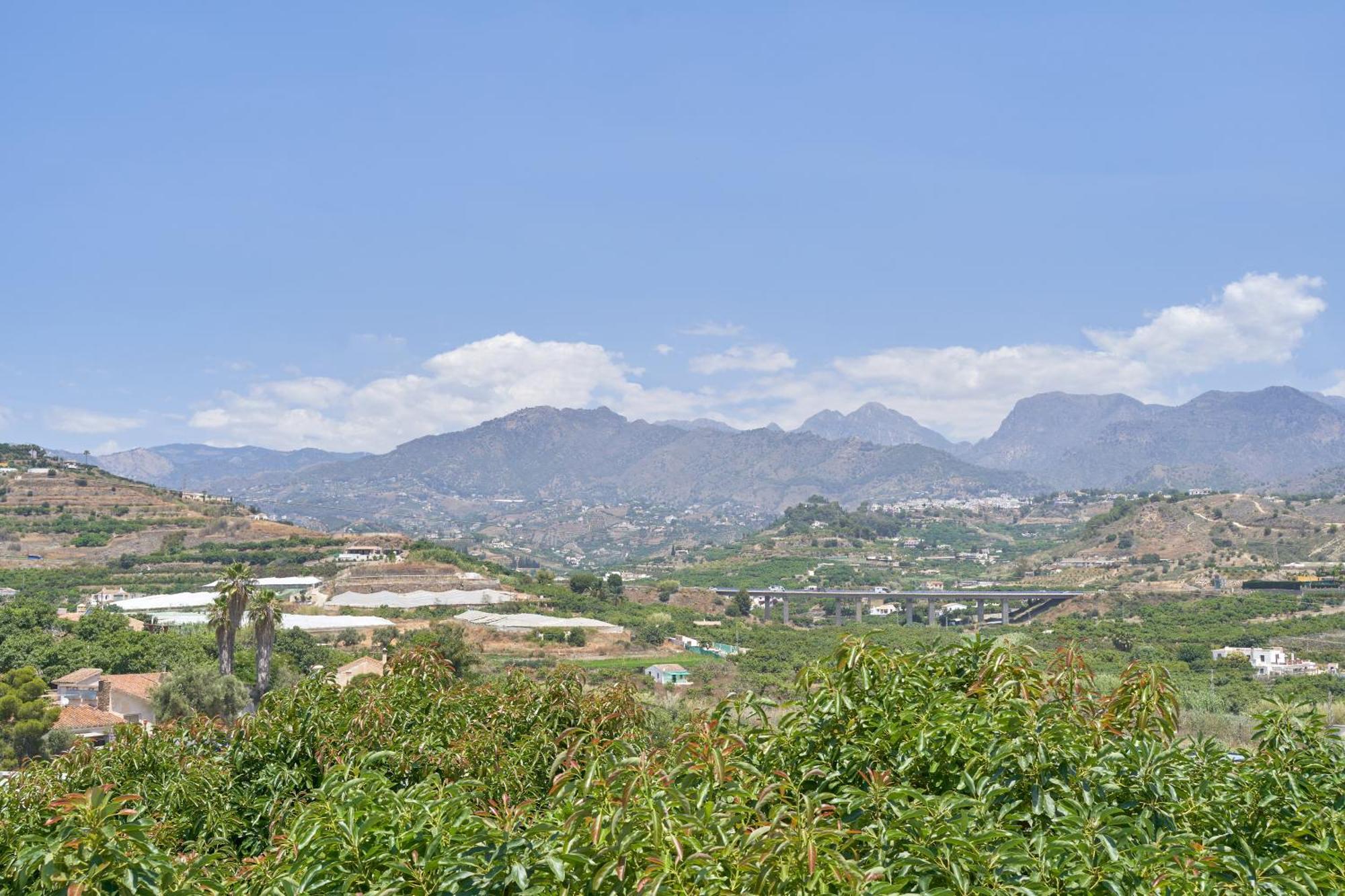 Angeles *